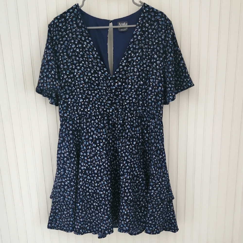 Never Worn-Arula Dress